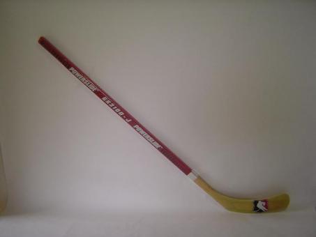 Final Hockey Stick GK 2100 Junior ca. 150cm rechts rechts (137cm)